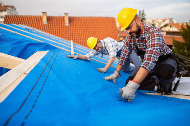 Best New Roof Installation  in Linden, AZ