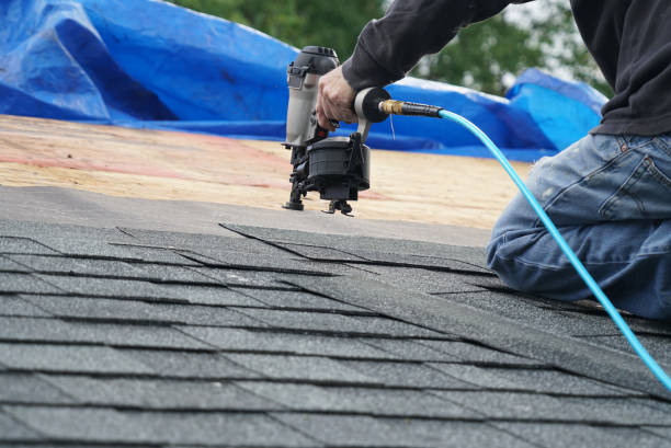 Best Metal Roofing Contractor  in Linden, AZ