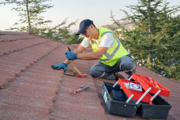 Roof Waterproofing Services in Linden, AZ