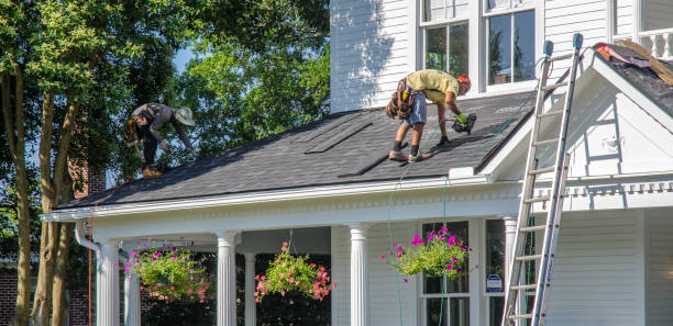 Best Gutter Installation and Roofing  in Linden, AZ