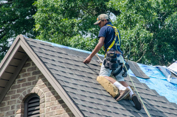 Best Residential Roof Replacement  in Linden, AZ